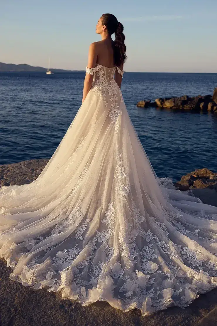 Model is wearing an off-the-shoulder A-line gown with floral lace sleeves, 3D appliqués, and a semi-sheer bodice with visible boning.